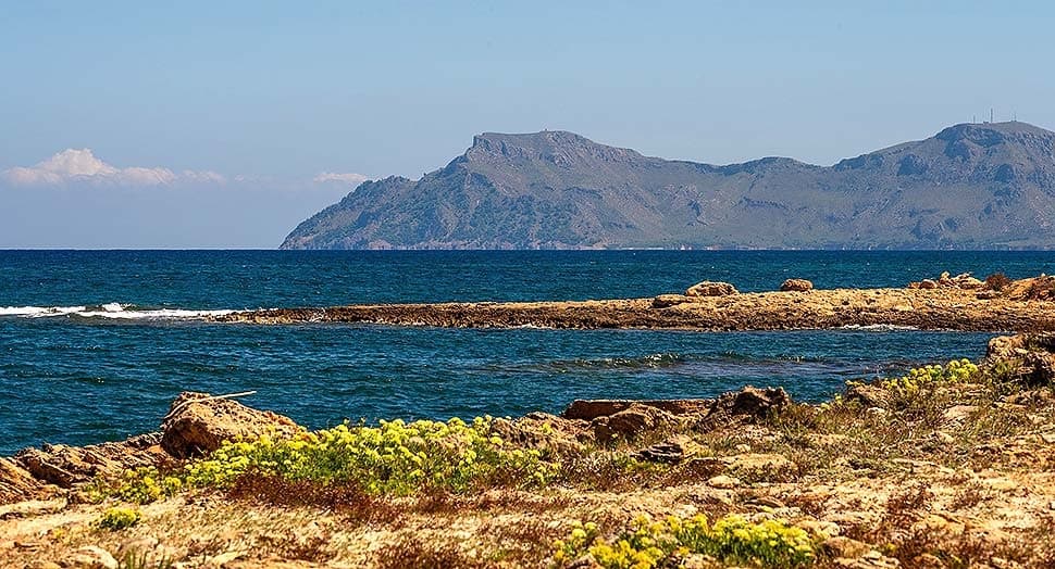 Wohnen unter der Sonne: Warum Mallorca für Immobilienkäufer so attraktiv bleibt