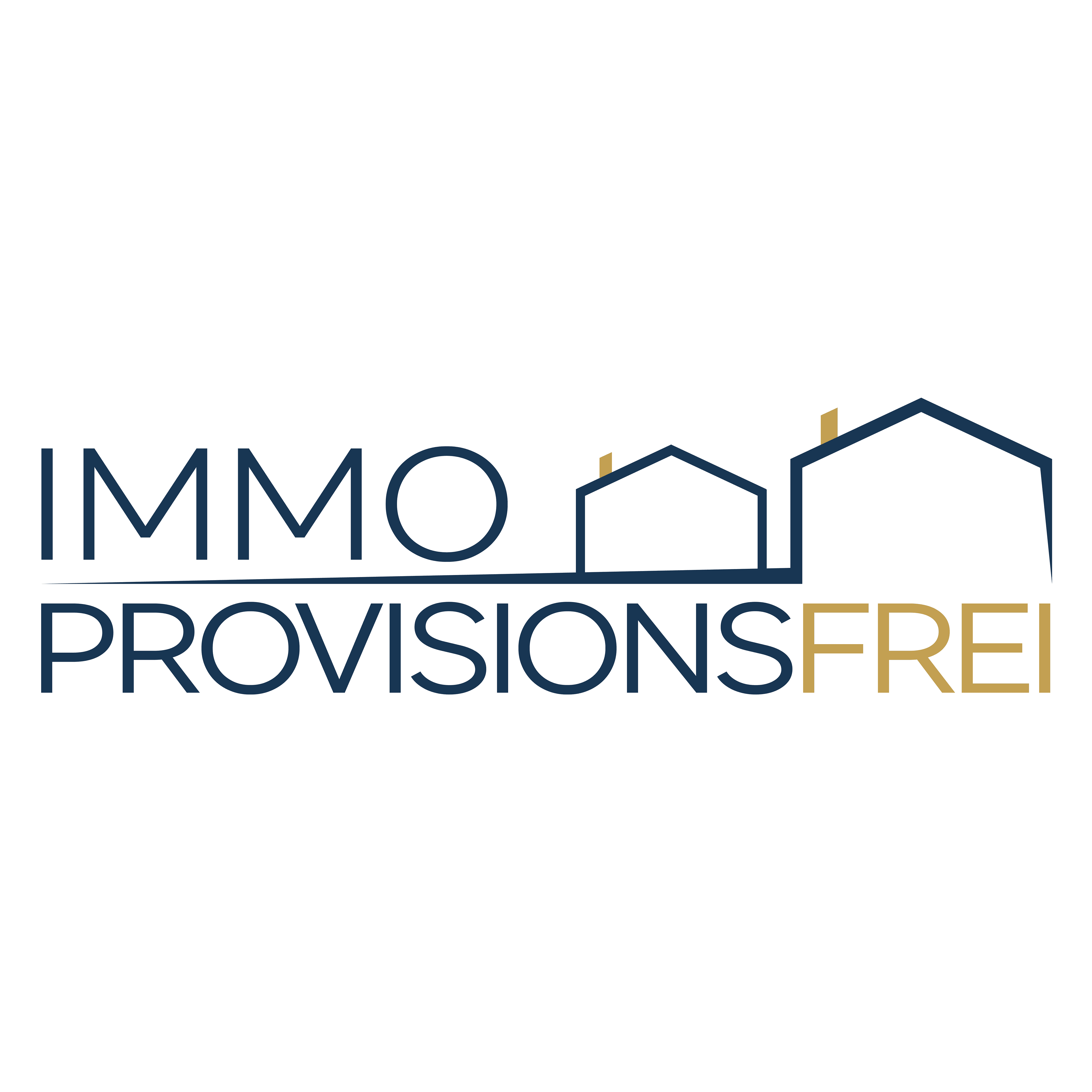 Immo & Consulting 4G GmbH