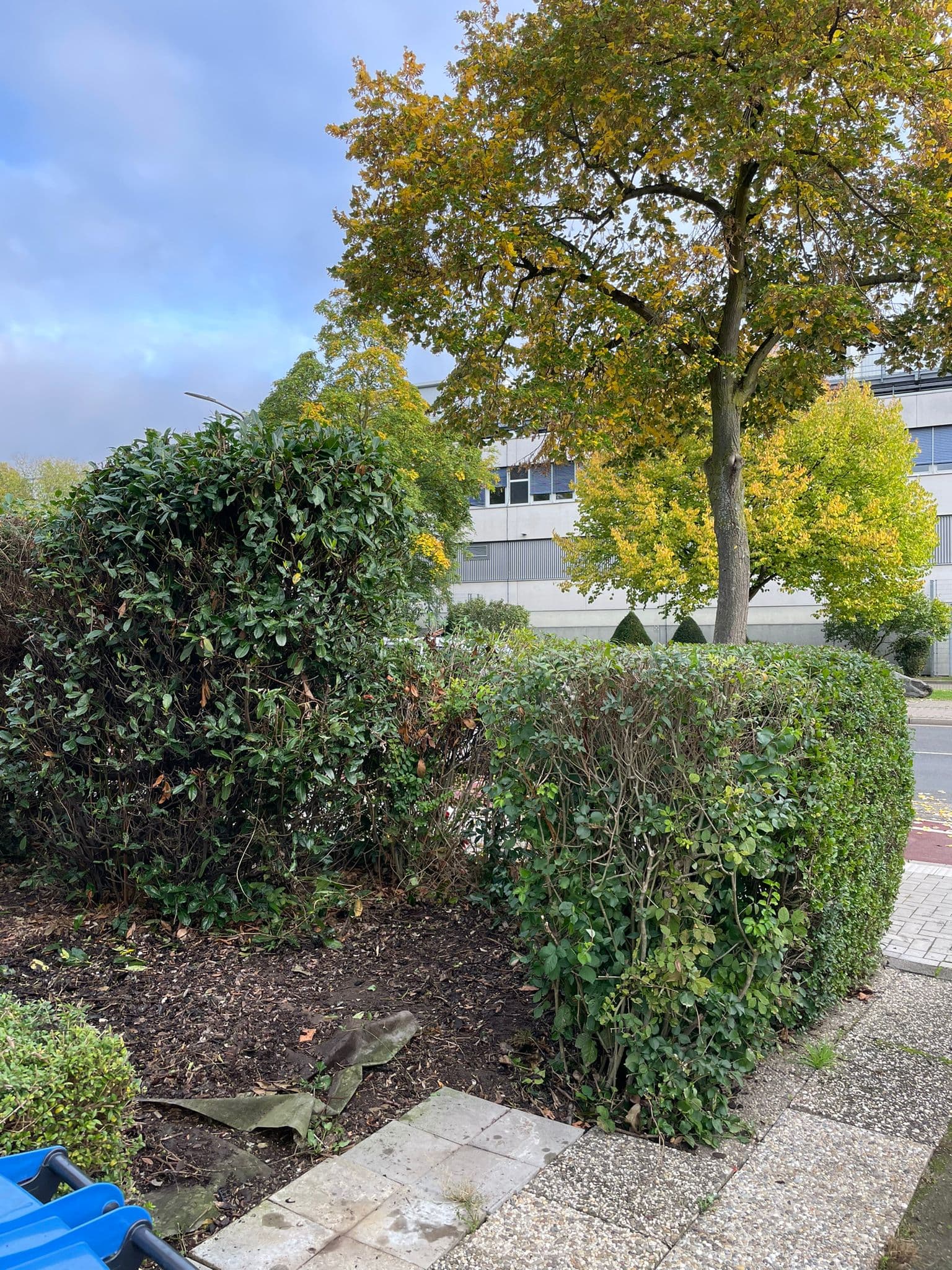 Wunderschöne möblierte Dachgeschosswohnung in Düsseldorf-Hassels