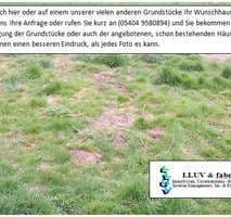Ruhige Lage! Bauland im Innenbereich nach §34 BauGB