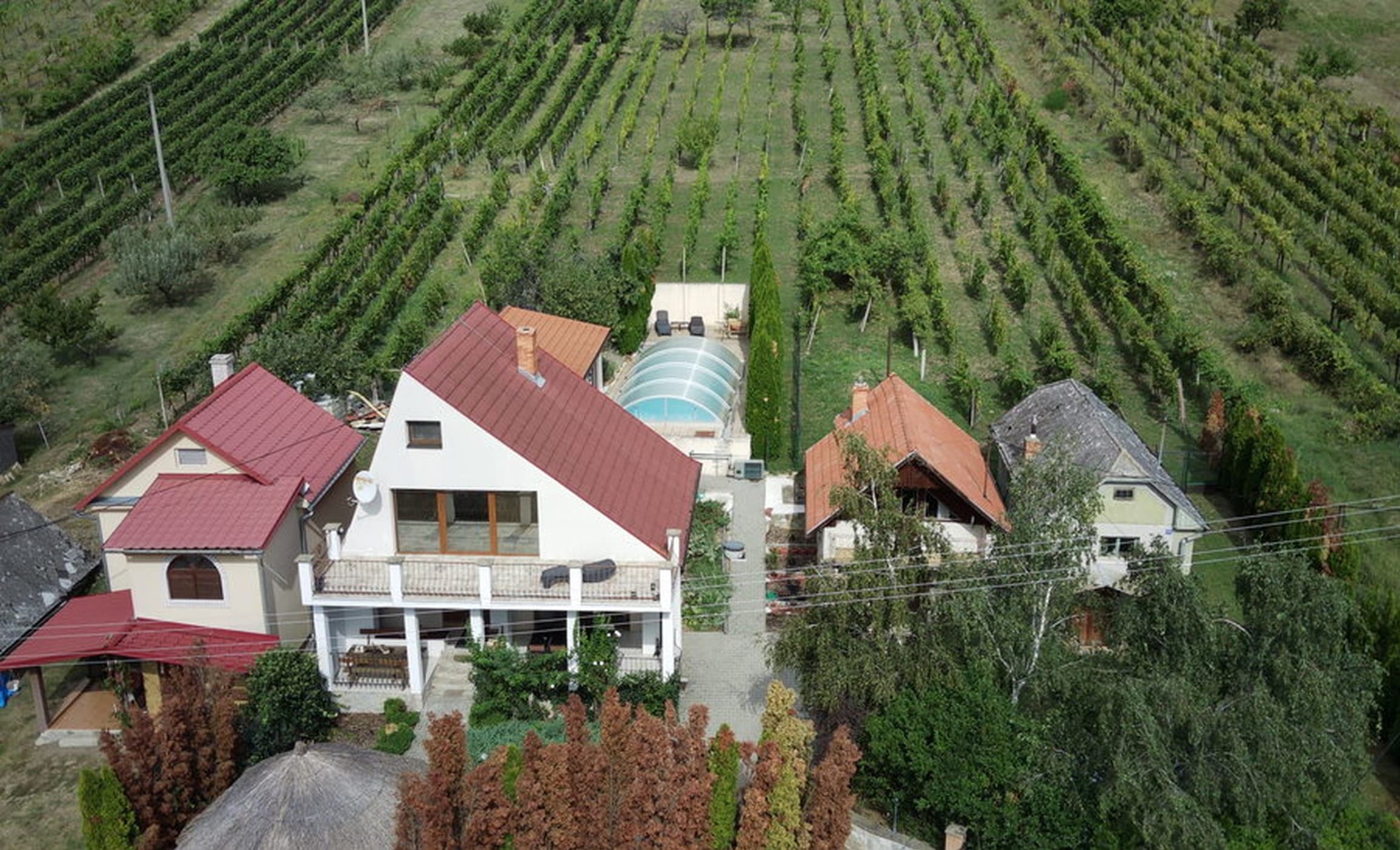Anwesen mit großem Grundstück, Pool und Weinberg in Vinica / Slowakei - Preissenkung