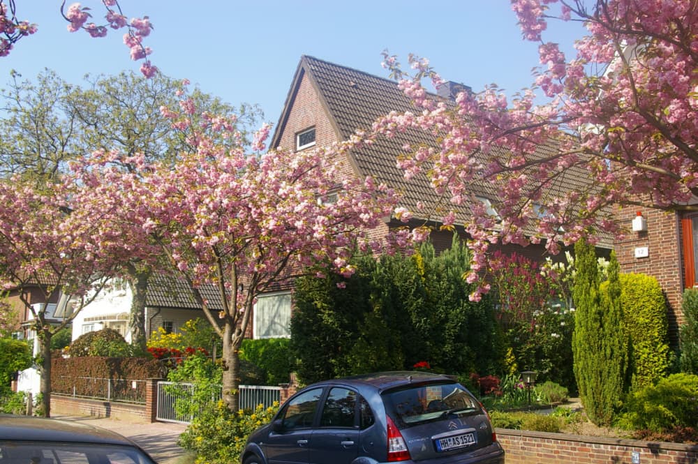 Marienthal Westerkamp in der Kirschblütenstrasse