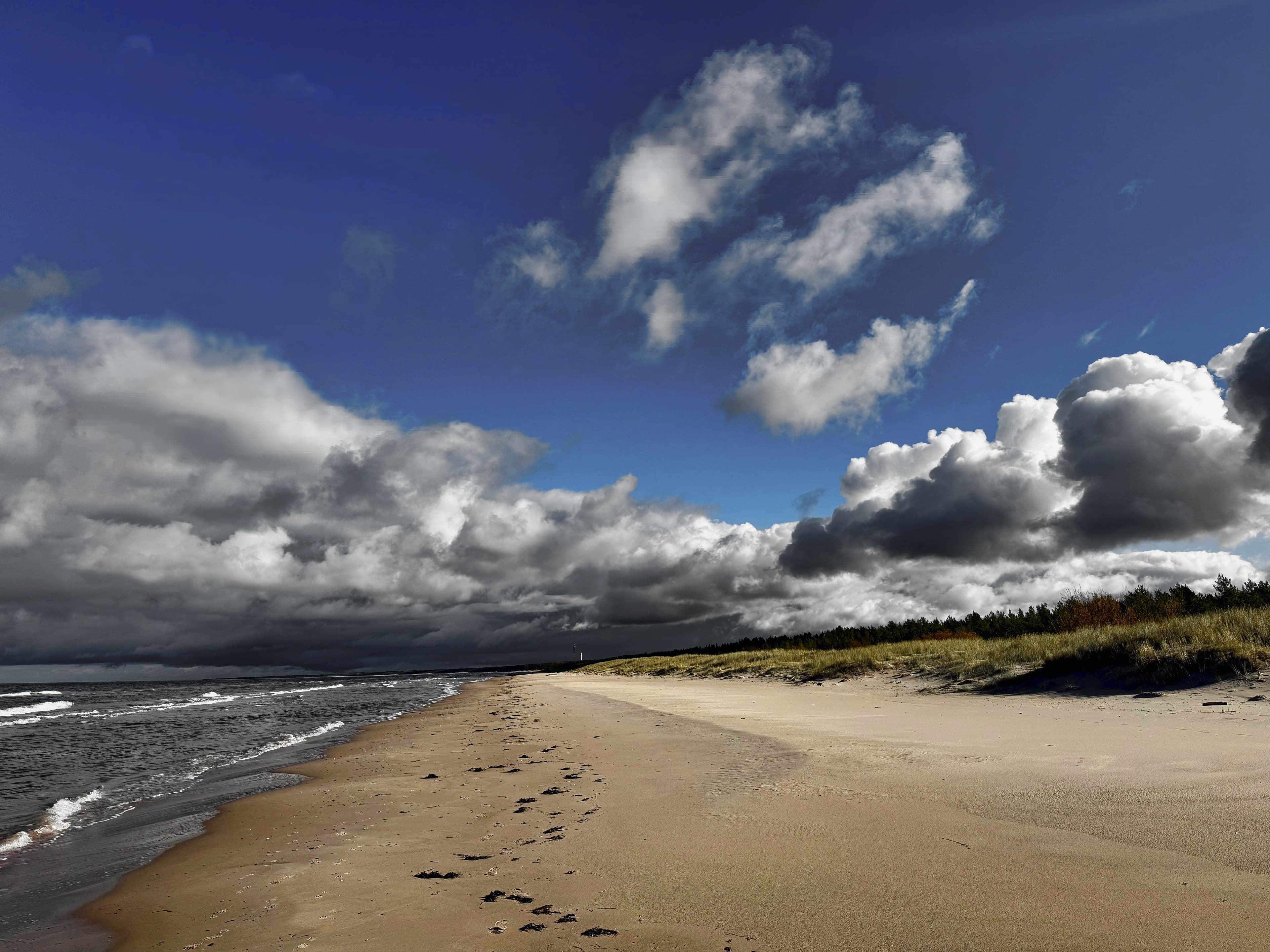 2,63 ha Baugrundstück Ostsee – 400 m zum Strand | bis zu 5 Grundstücke