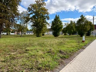 Sangerhausen, Extra-Rabatt für große Grundstücke mit alten Baumbestand!