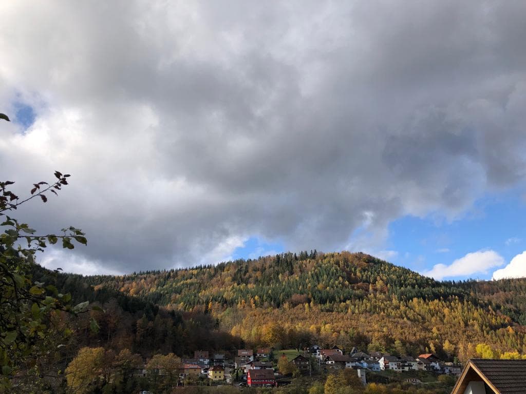 Wohnen im Schwarzwald - wo andere Urlaub machen!