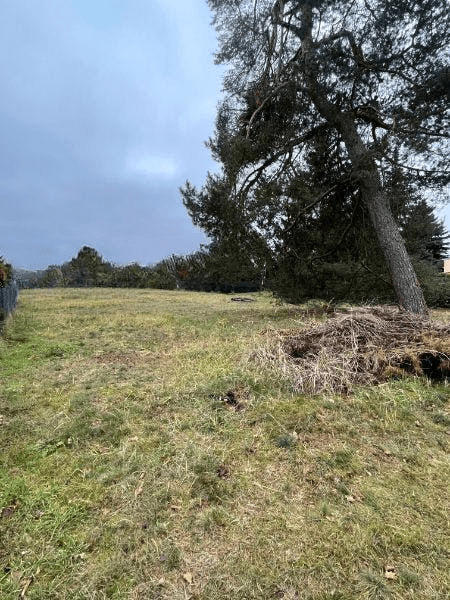 Sofort bebaubares großzügiges Baugrundstück im schönen Borgsdorf