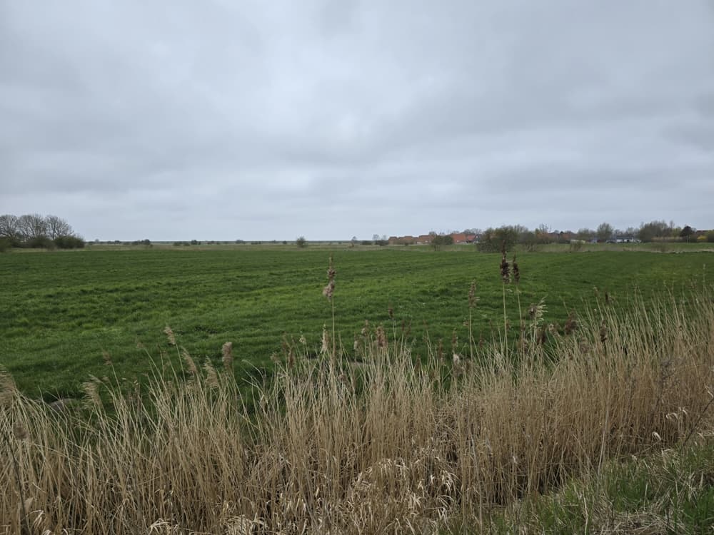 Bauerwartungsland an der Wurster Nordseeküste