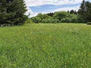 Baugrundstück, ruhig gelegen, Fernsicht, so weit das Auge reicht