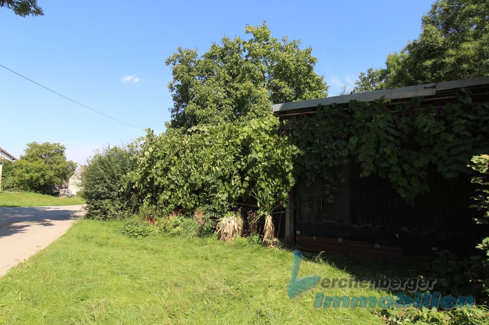 ***Grundstück mit Obstgarten und Schuppen Nähe Landau/Isar***