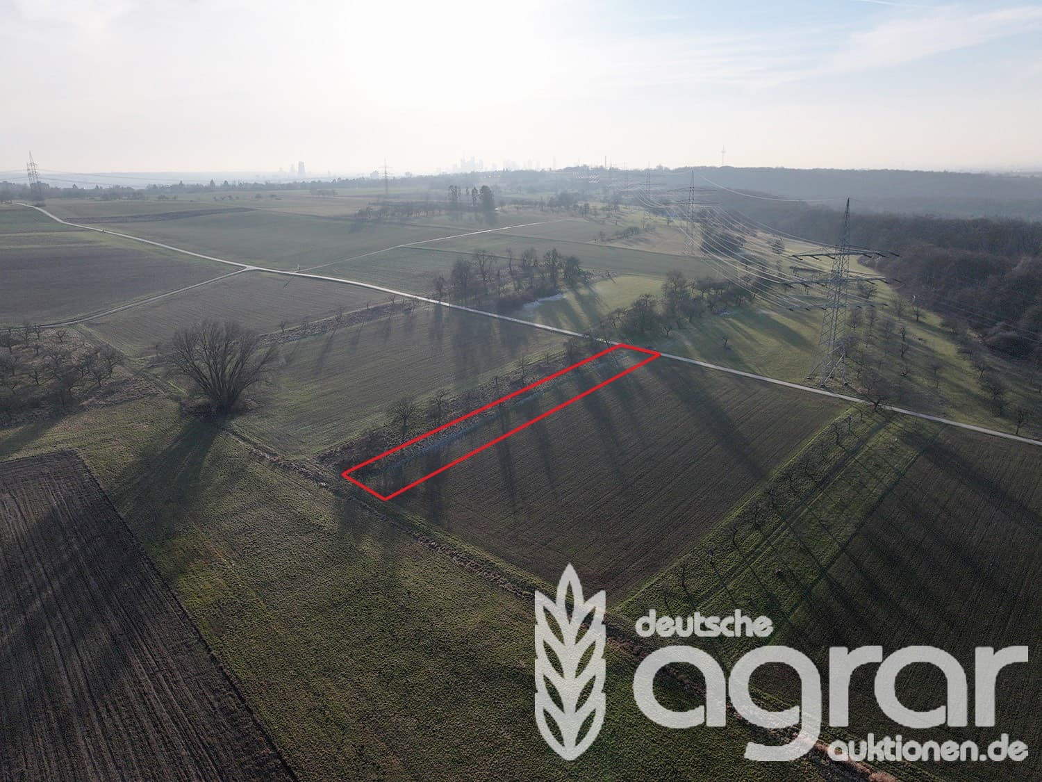 Kleine Ackerfläche ca. 1.622 m² im Nordosten von Frankfurt - für Jedermann ohne Genehmigung
