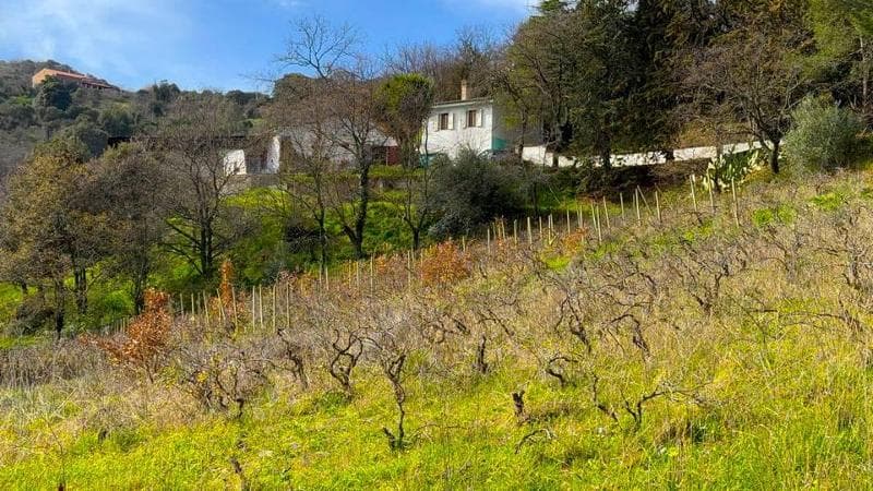 Villa Bianca - Ozieri Haus mit Gästehaus und großem Umschwung