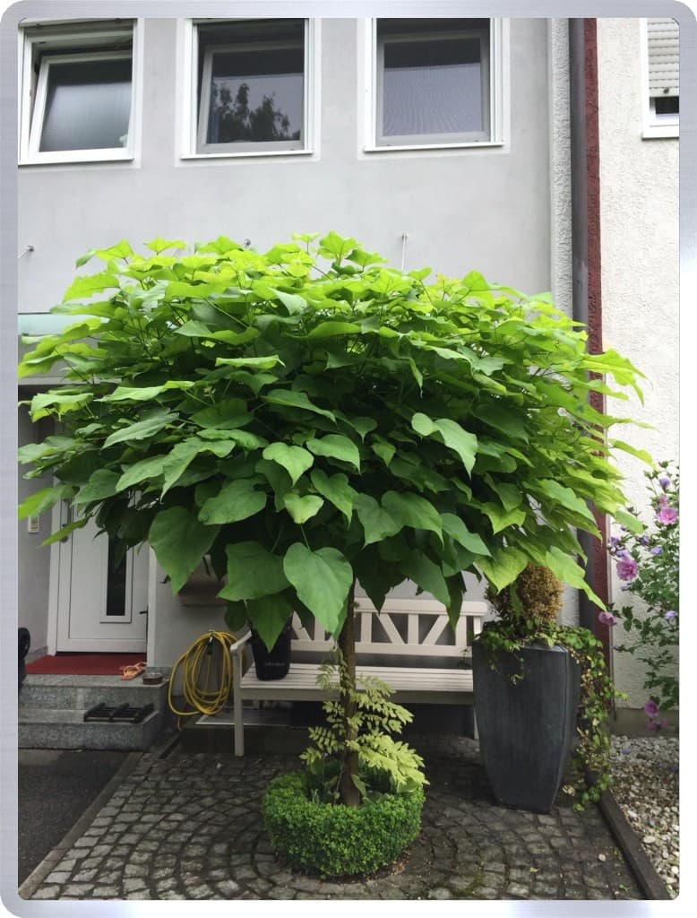 Erding interessantes modernes M-Haus in guter Lage
