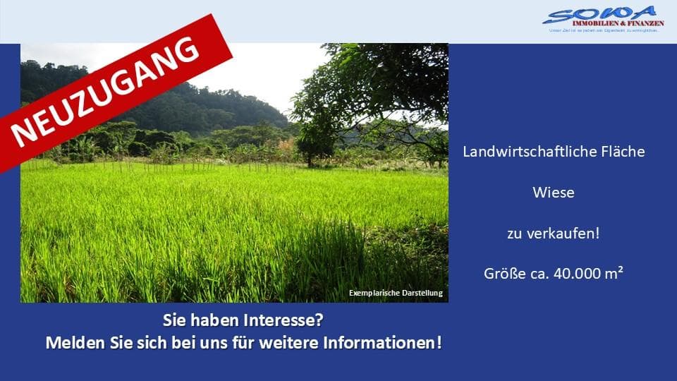 Großzügige Landwirtschaftsfläche / Wiese in Königsmoos, evtl. Ausgleichsfläche oder PV - Ein Objekt von SOWA Immobilien & Finanzen Ihrem Immobilienprofi vor Ort