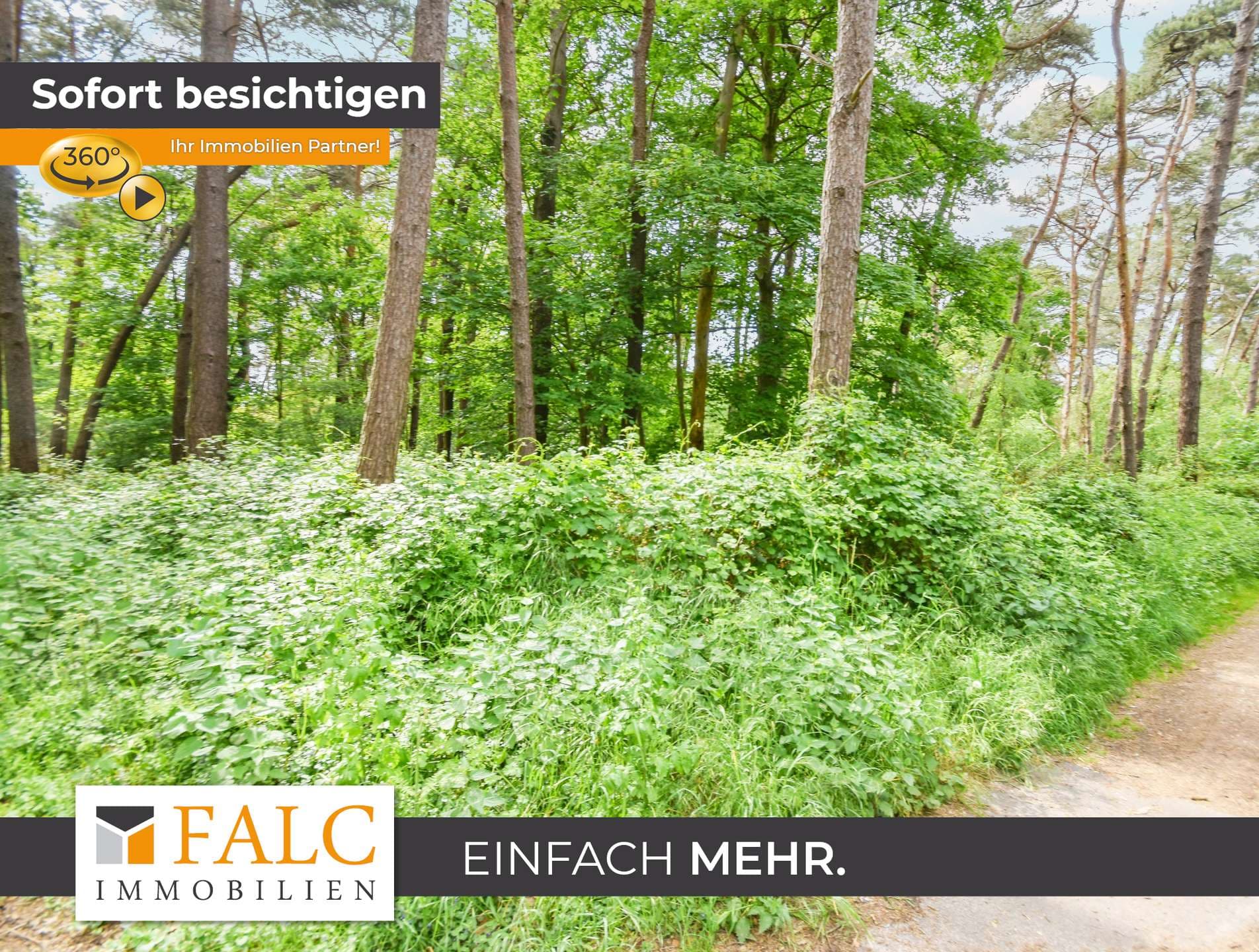 Waldareal in gewachsener Naturkulisse