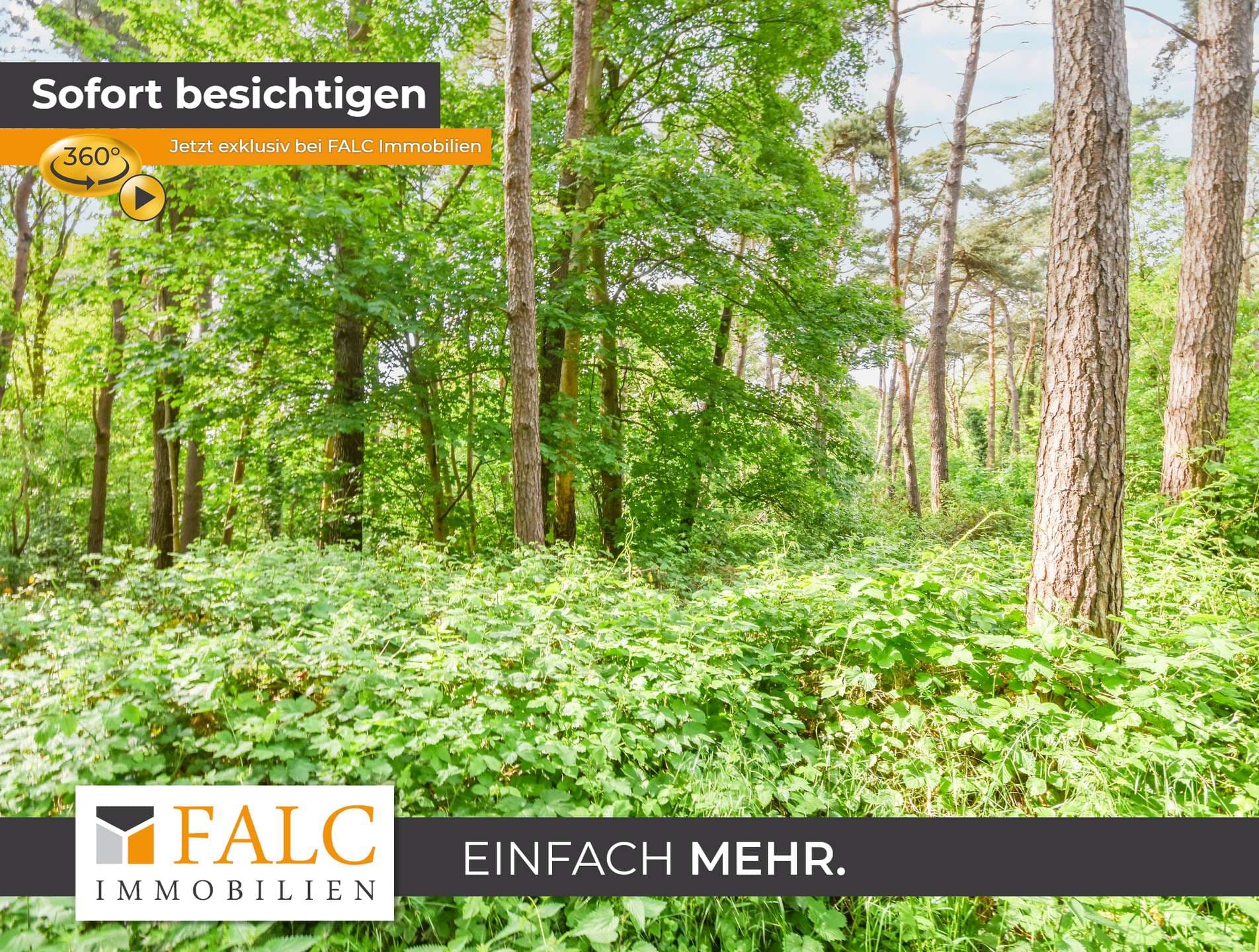 Ein Stück Holter Heide fürs eigene Portfolio