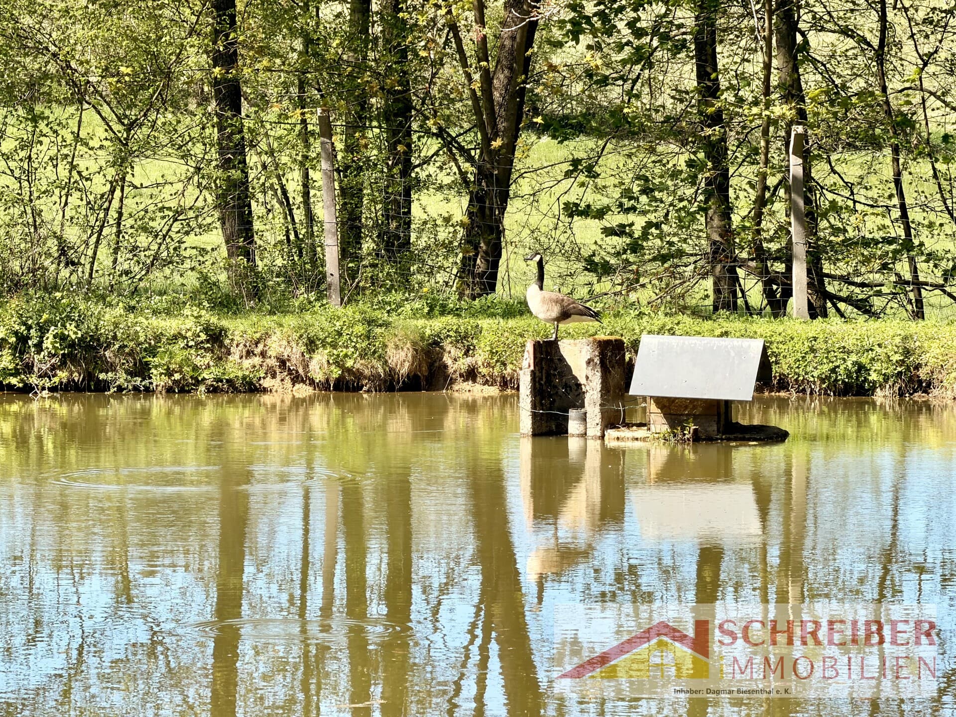 Natur. Ruhe. Wasser. – Private Teichanlage in Alleinlage