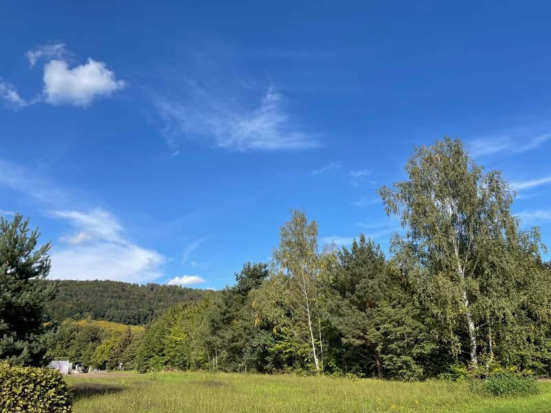 Landwirtschaftsfläche in einer Großstadt - gibt es das? Ja, hier!