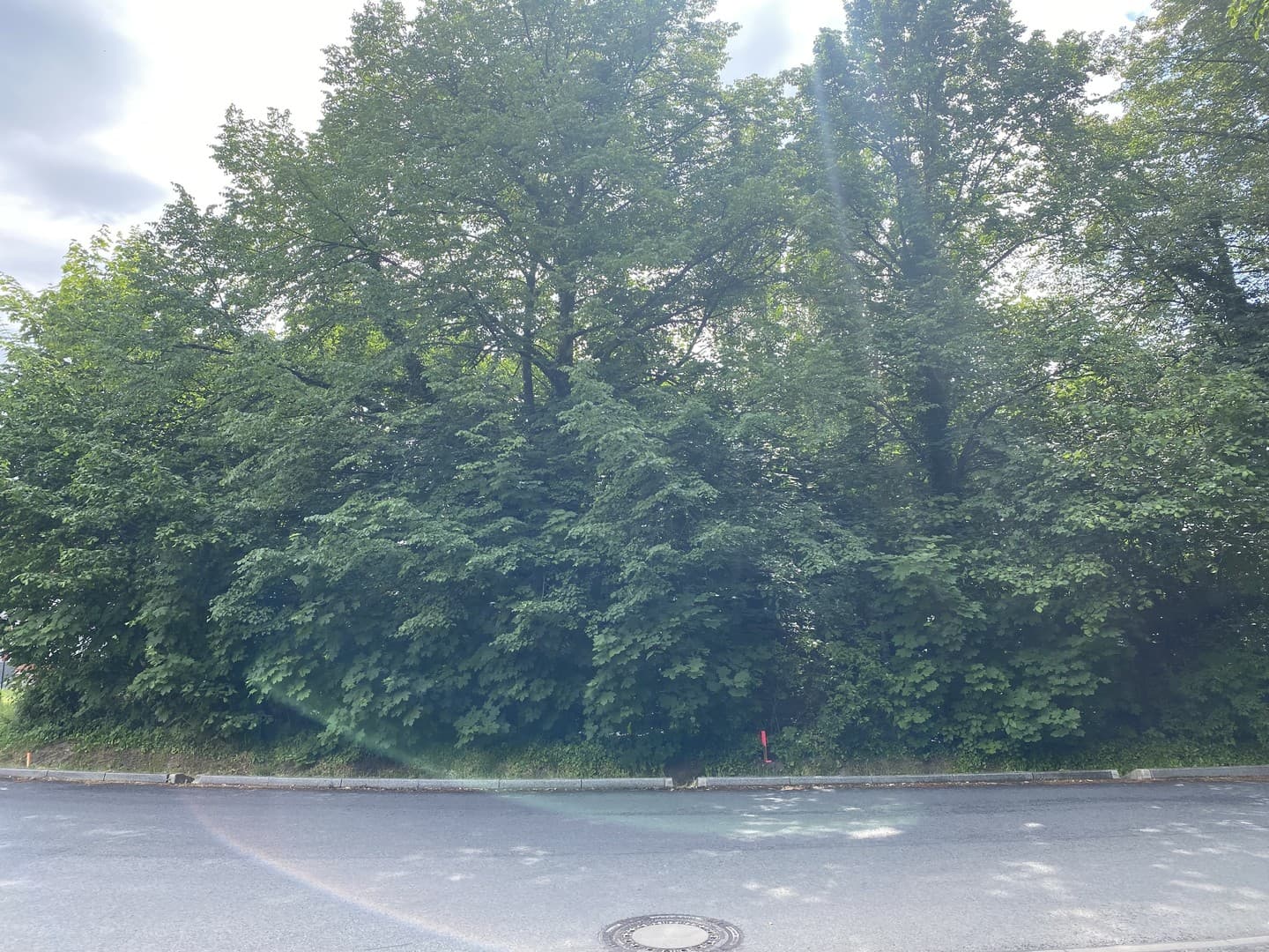 Baugrundstück in Potsdam Bornim