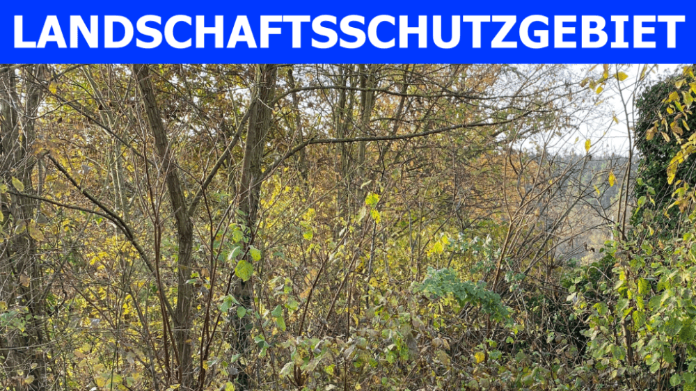 Areal im Landschaftsschutzgebiet sucht Investor ...