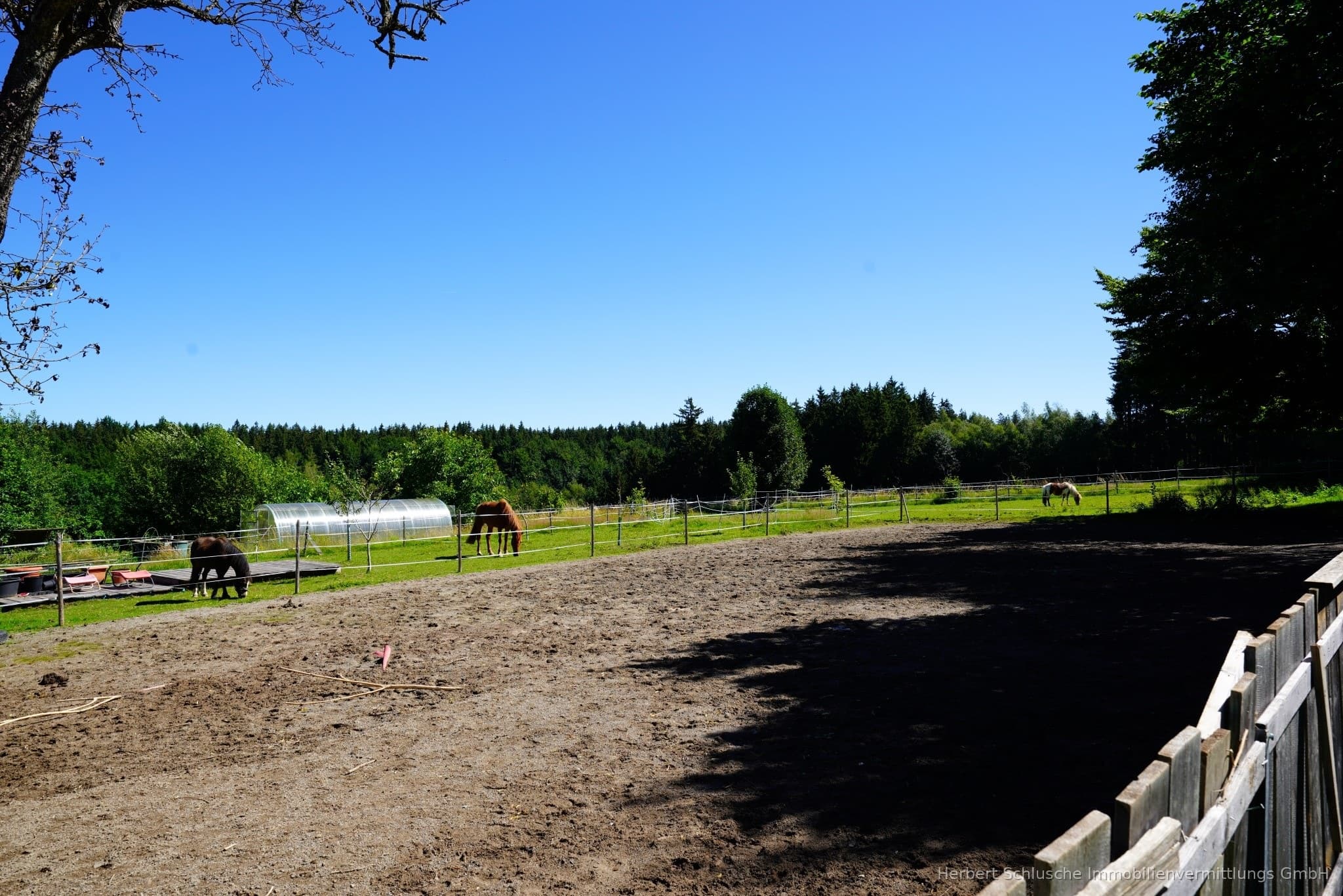 Ideal für Pferd und Reiter bei ehemaligen Bauernhaus in Naturlage zwischen Kempten und Memmingen