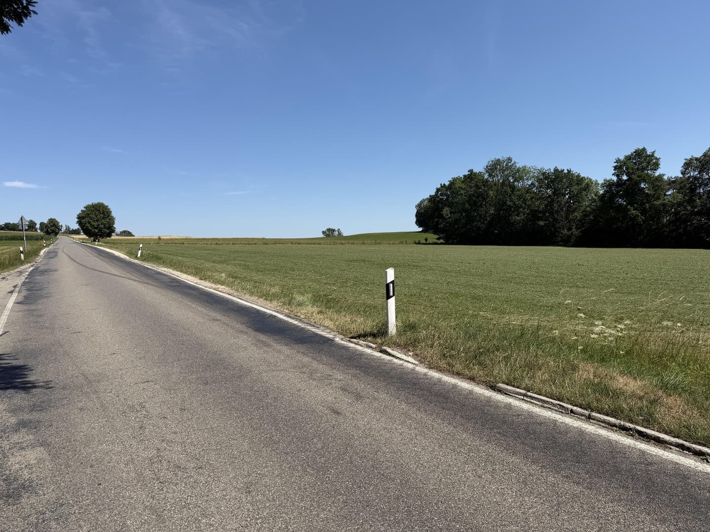 1,48 ha Attraktives Grundstückspaket aus Wiese & Wald in Reichling – Gut erreichbare Lage am Lechtal