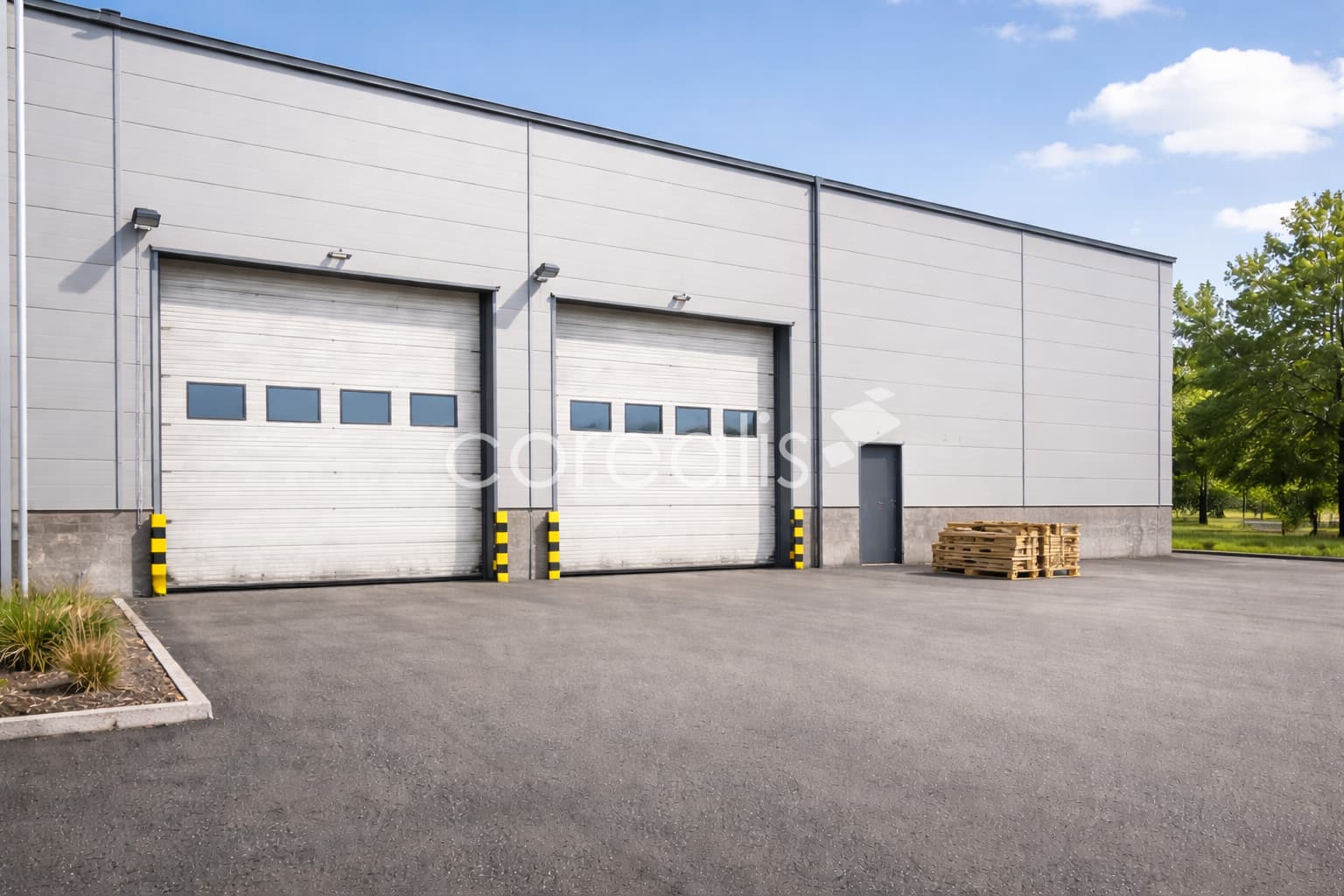 Top Preis | sofort 3.000 m² | teilbar | ebenerdig | Kranbahnen