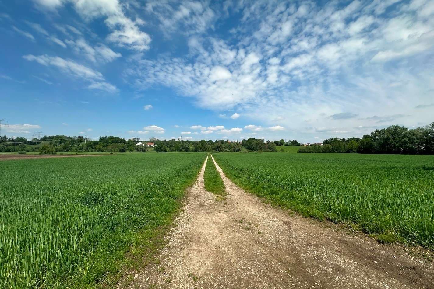 Landwirtschaftliches Grundstück am Ortsrand von Günding (Gde. Bergkirchen) zu verkaufen!
