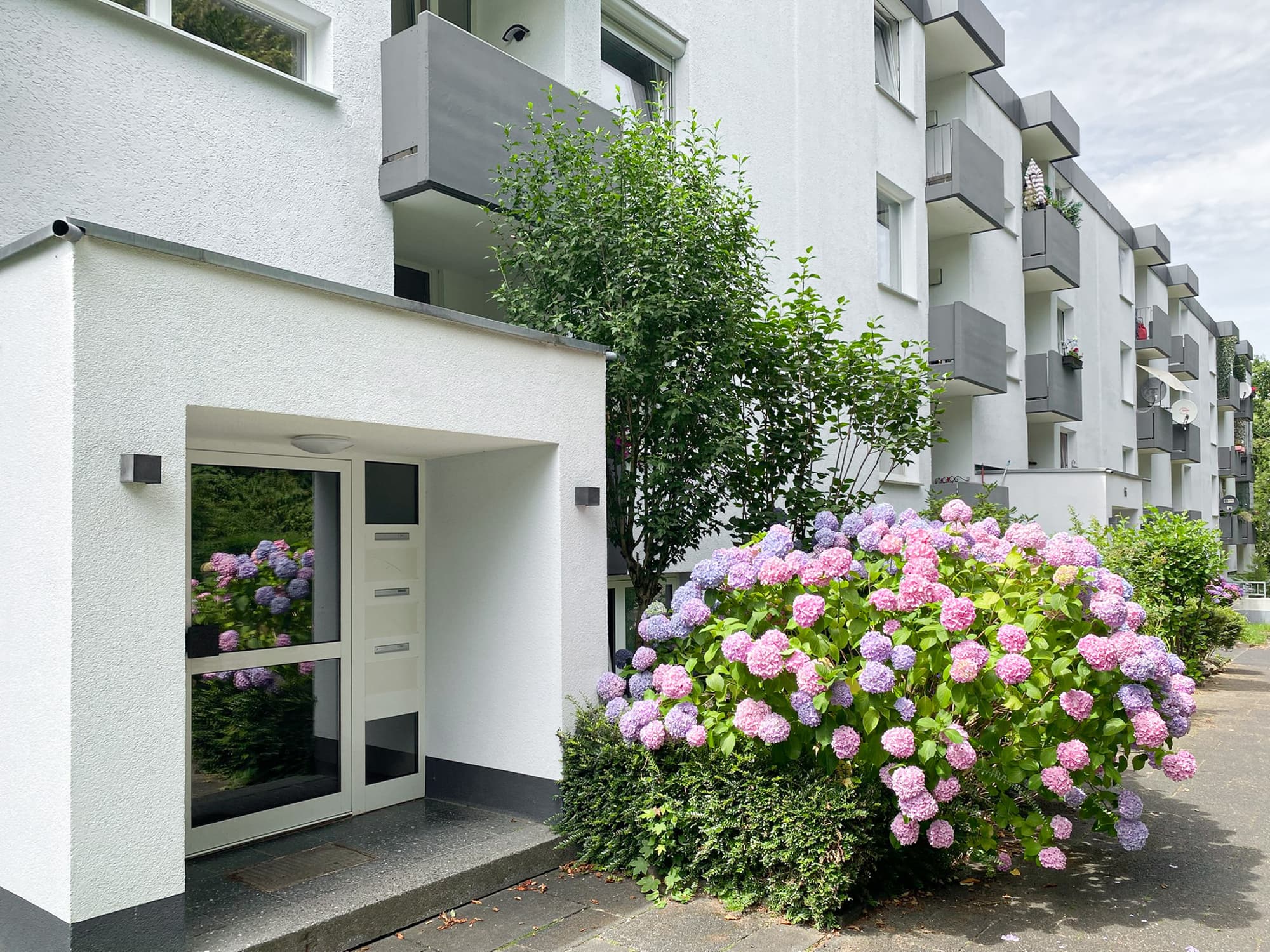 Bezugsfreie Drei-Zimmer-Wohnung
