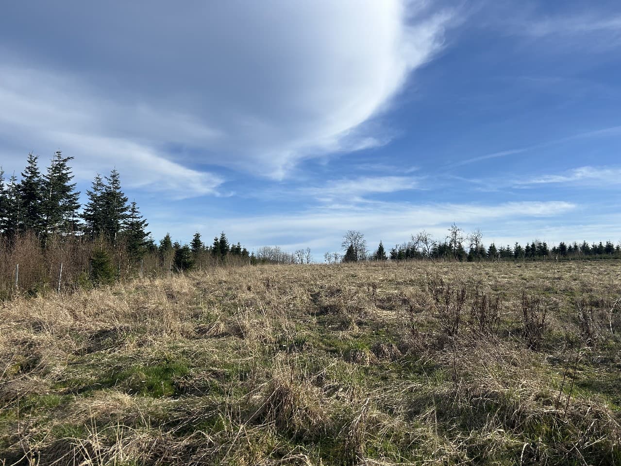 Natur pur!
