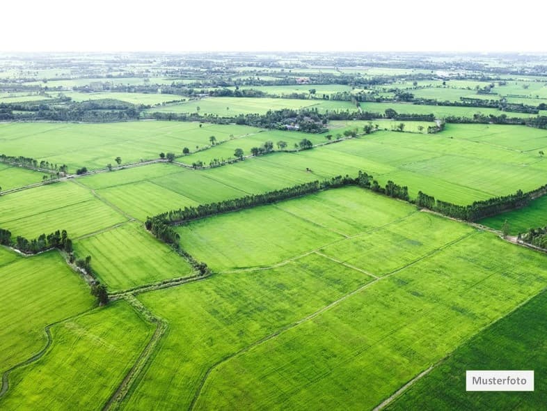 Land- / Forstwirtschaft in 79650 Schopfheim, Sengelen