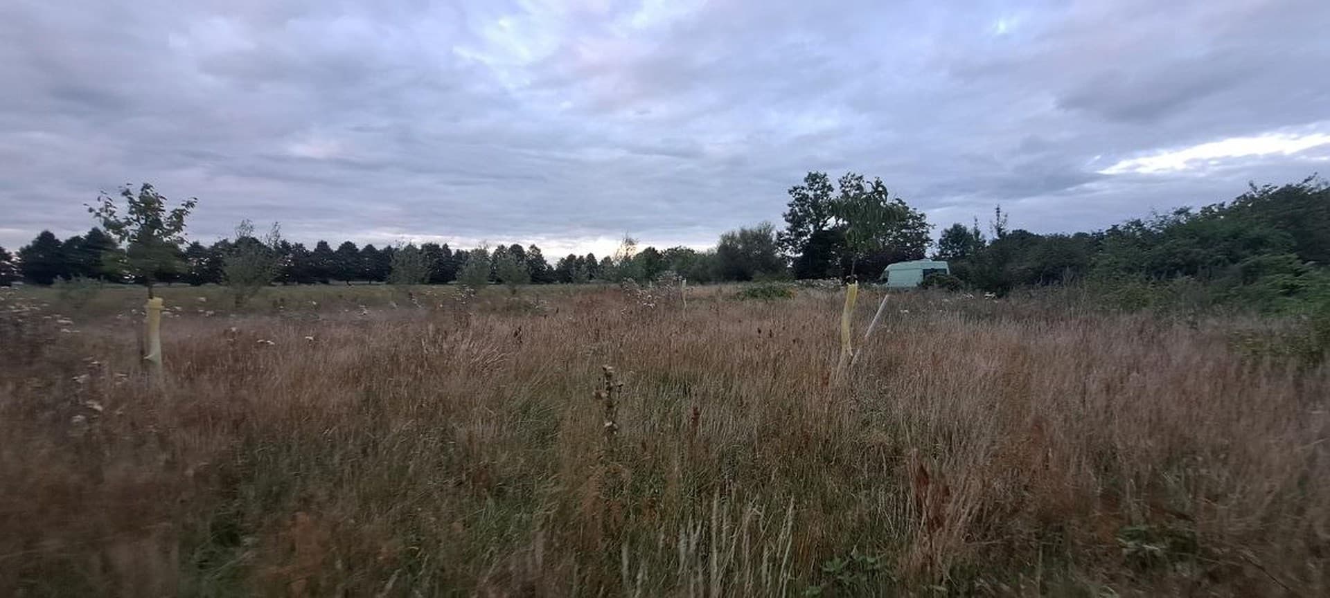 Großes Baugrundstück im Naturpark Westhavelland