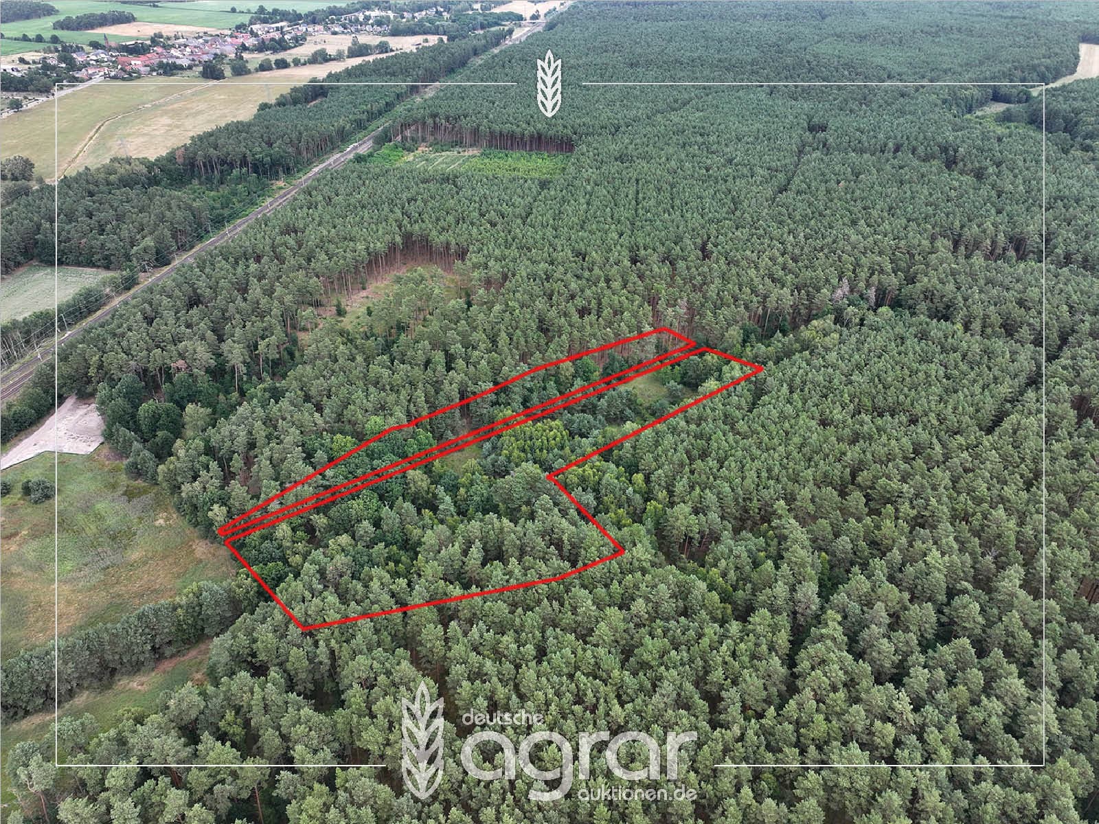 Kiefernwald mit Erntepotential (ca. 1,8 ha) zw. Stendal und Gardelegen