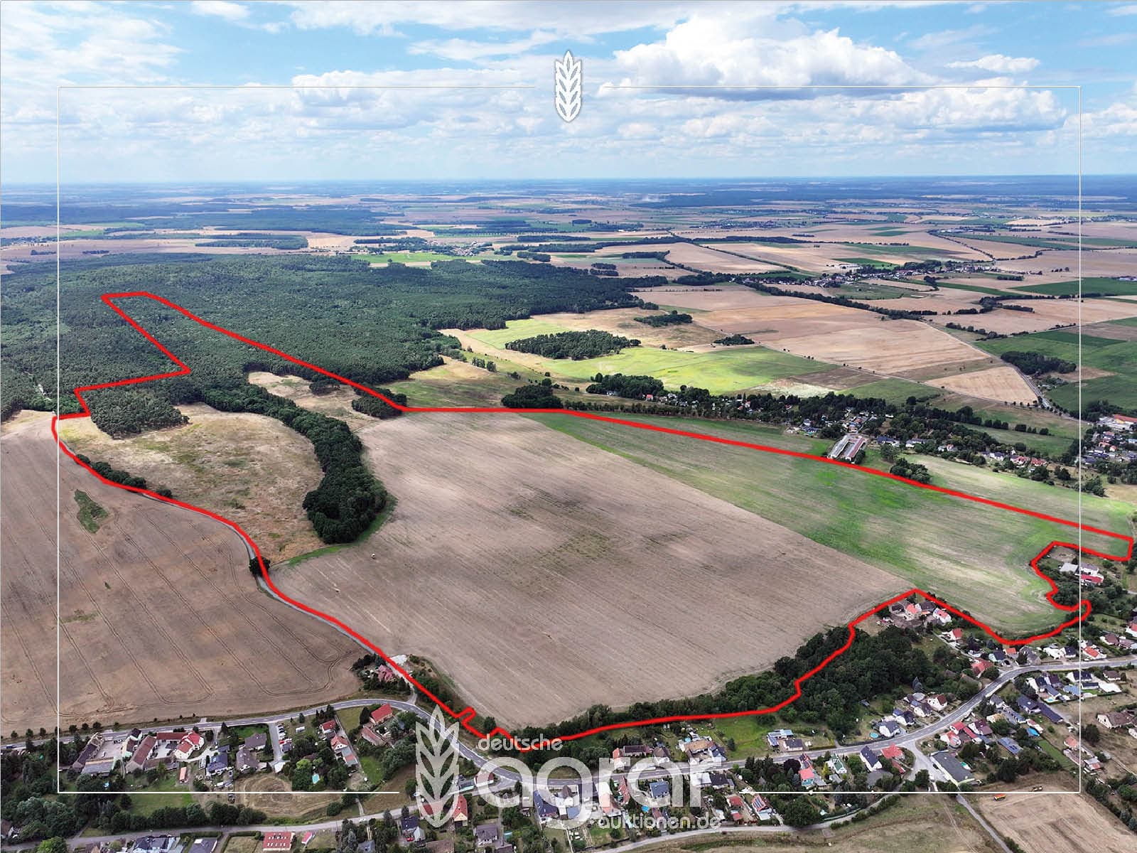 Arrondierte Acker, Wald & Wiese (ca. 104 ha) in zw. Leipzig & Berlin