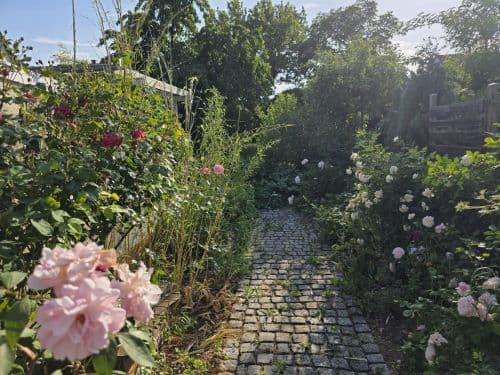 3-Zimmer-Mietwohnung mit Stellplatz und Garage sowie Garten mit Freisitz und Teich sowie Wasserlauf in 97456 Sennfeld (1592)