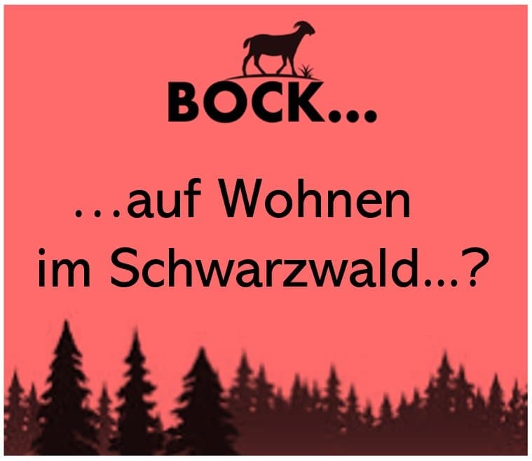 Exklusives Wohn- und Ferienprojekt im Hochschwarzwald