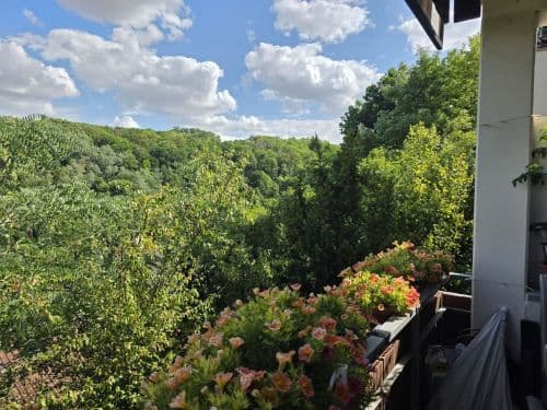 3-Zimmer-Eigentumswohnung mit herrlichem Ausblick in 97199 Ochsenfurt Westsiedlung (ID 10712)