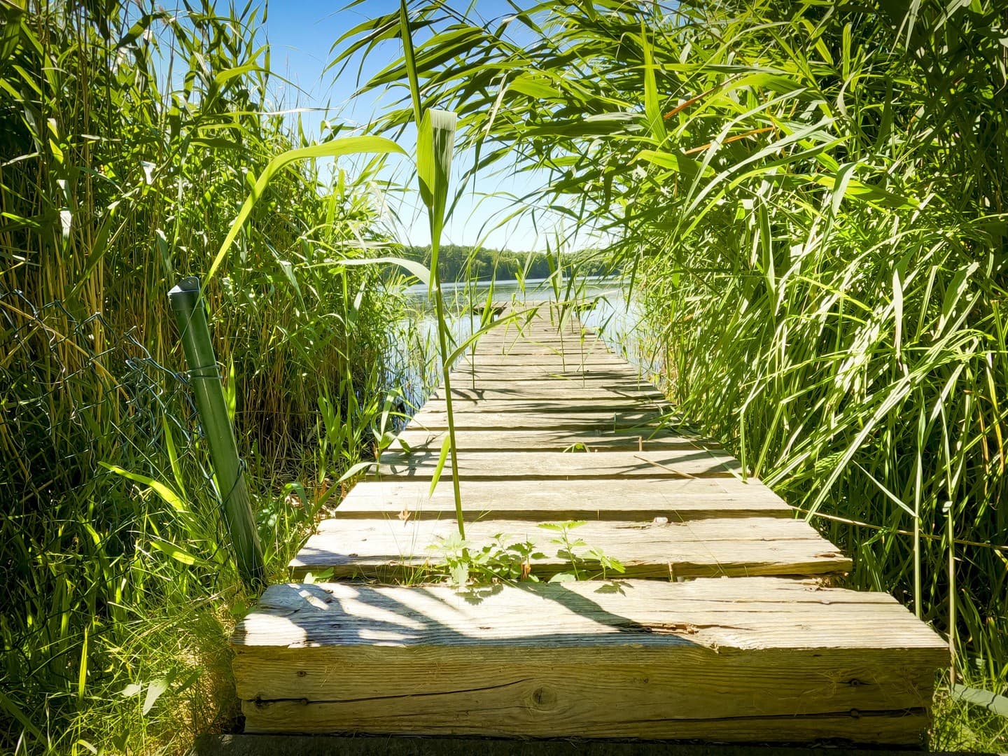 Haus am See – Charmantes Einfamilienhaus auf traumhaftem Grundstück