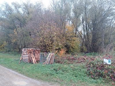 IDYLLISCHES WALDSTÜCK AM ORTSRAND