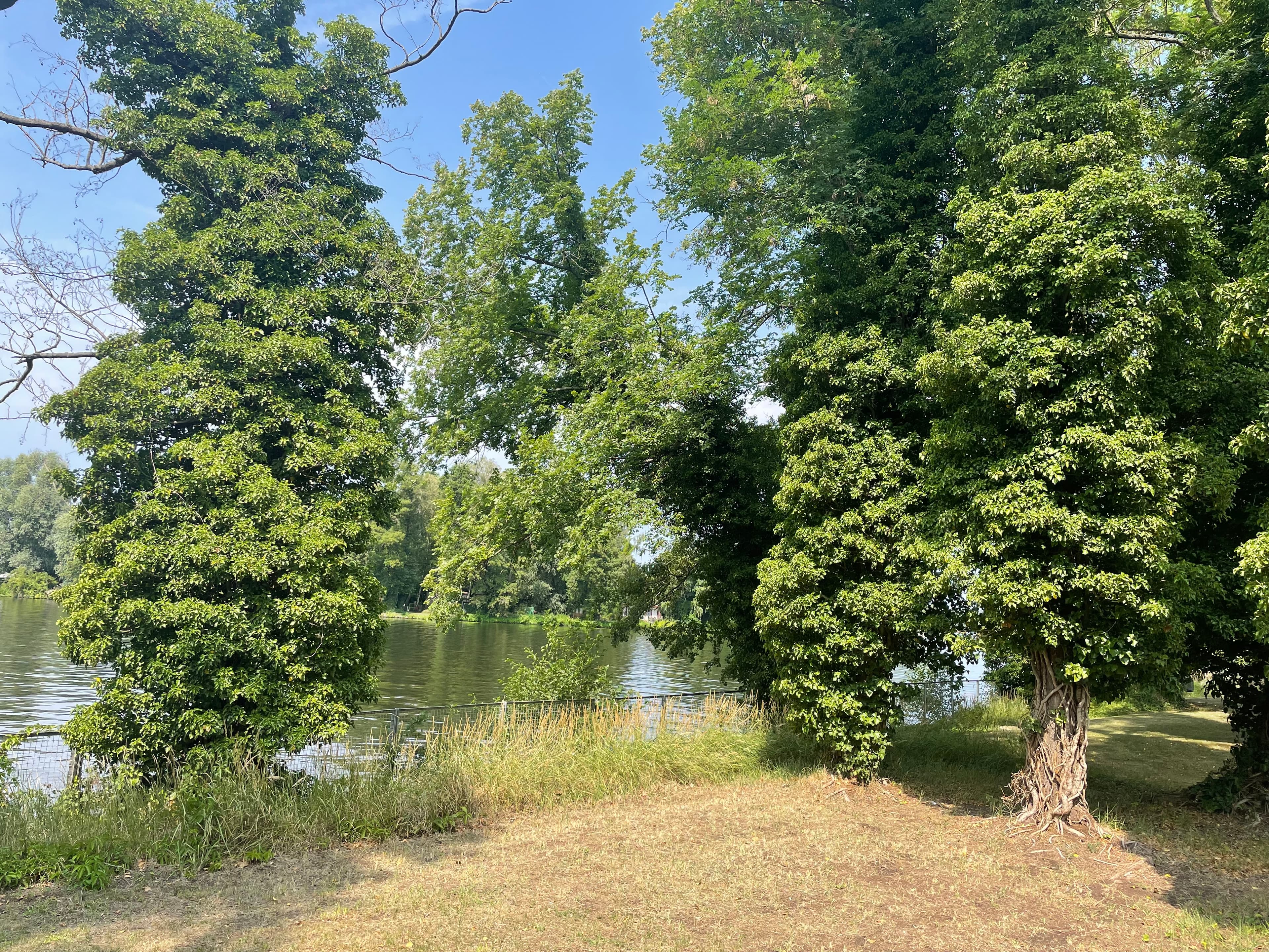 DG-Wohnung mit Terrasse und Wasserblick, inkl. Tiefgaragenstellplatz!