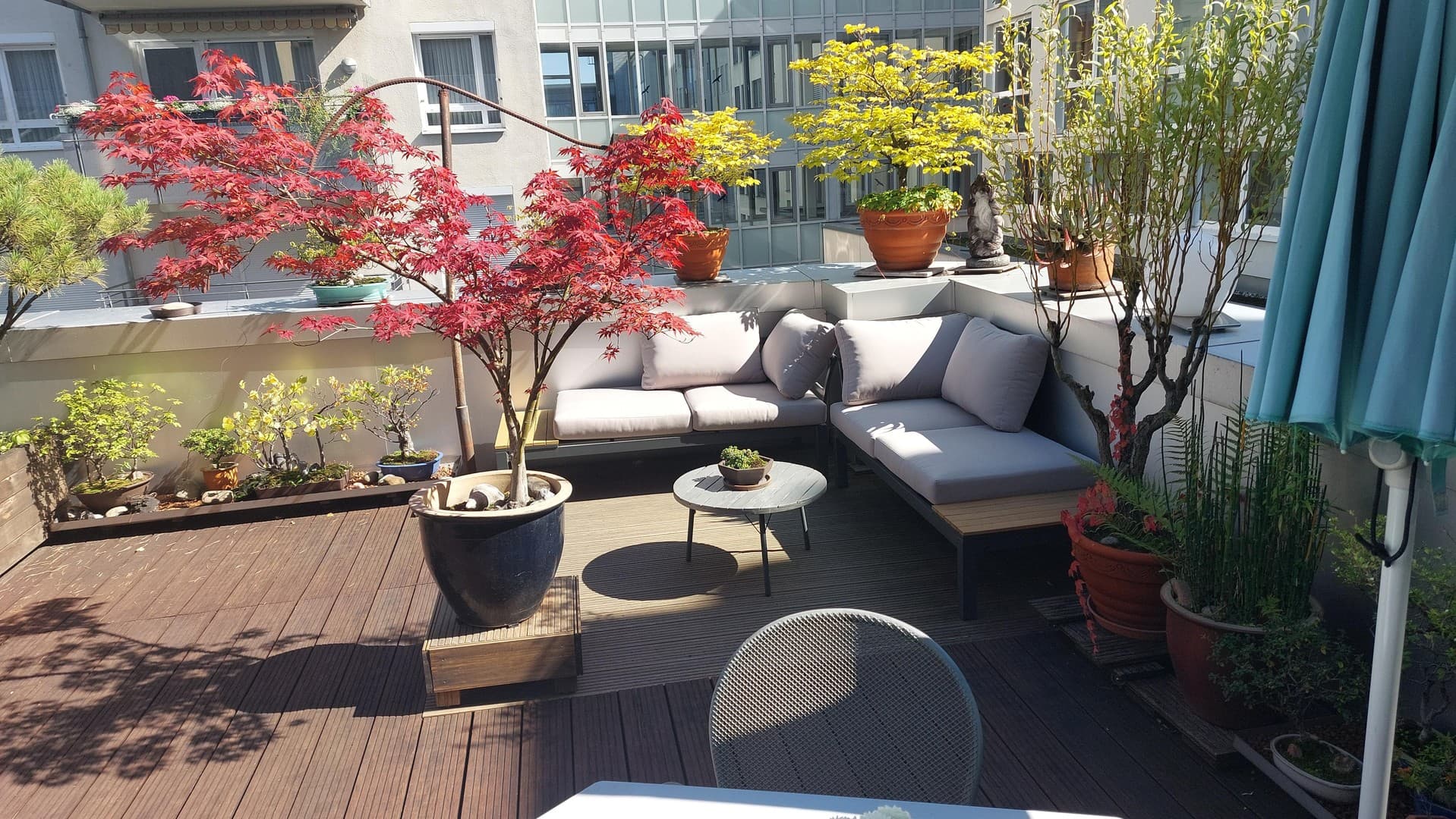 Attraktive helle 3-Zimmer-Wohnung im Zentrum von Darmstadt mit außergewöhnlicher Dachterrasse