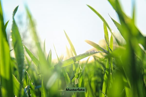 Landwirtschaftsflächen