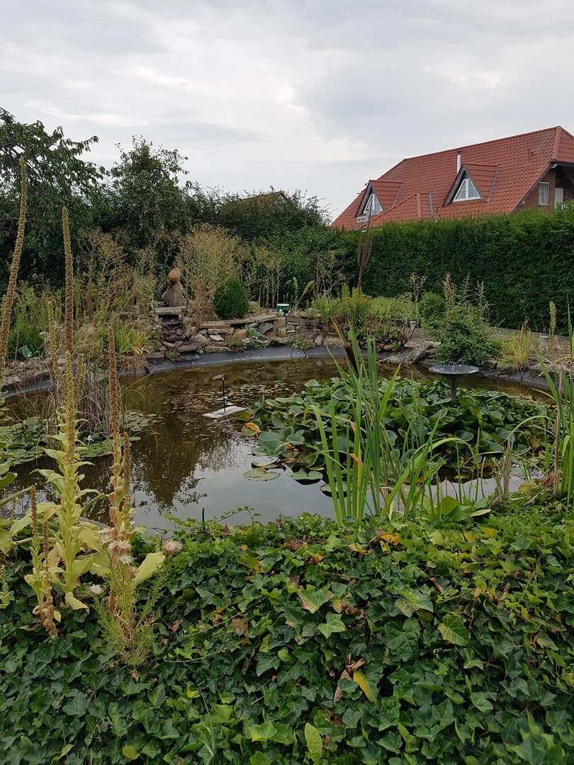 Renovierungsbedürftiges Einfamilienhaus mit großem Garten