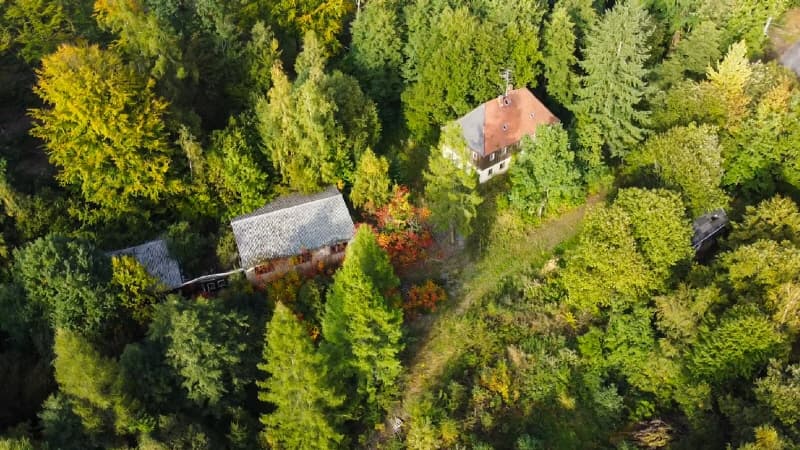 Drei Baukörper auf 100.000 m² Wald und Wiese - ein Paradies für Sie und Ihre Tiere!