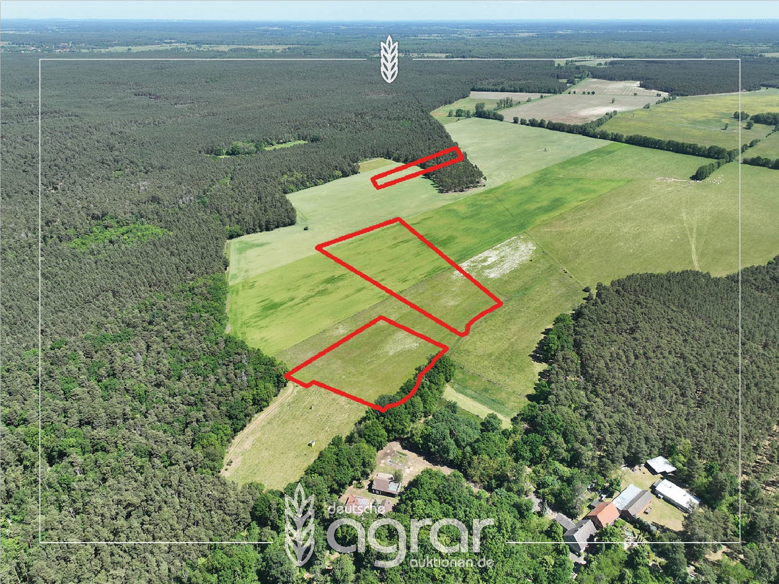 Acker, Wald und Wiese (ca. 5 ha) im Unterspreewald - bei Lübben