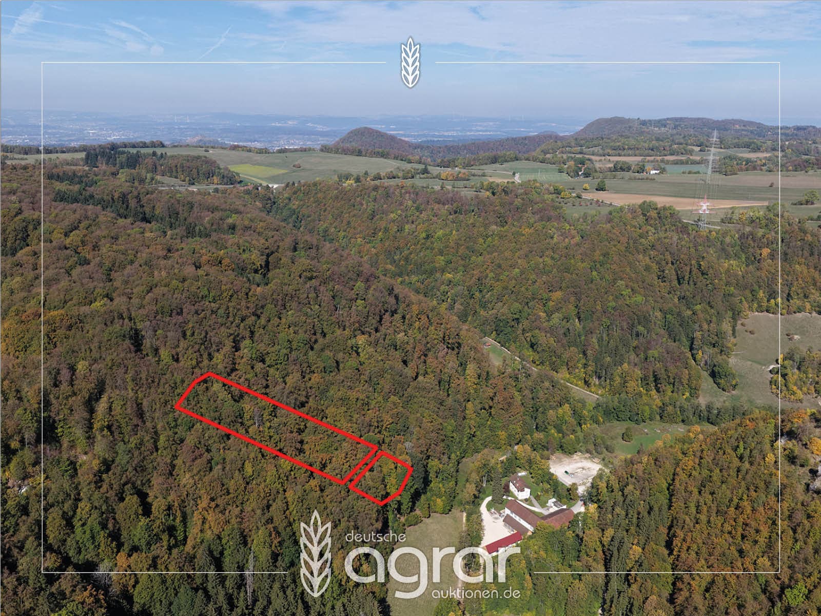 Laubmischwald (ca. 0,7 ha) süd-östlich von Stuttgart - bei Wiesensteig