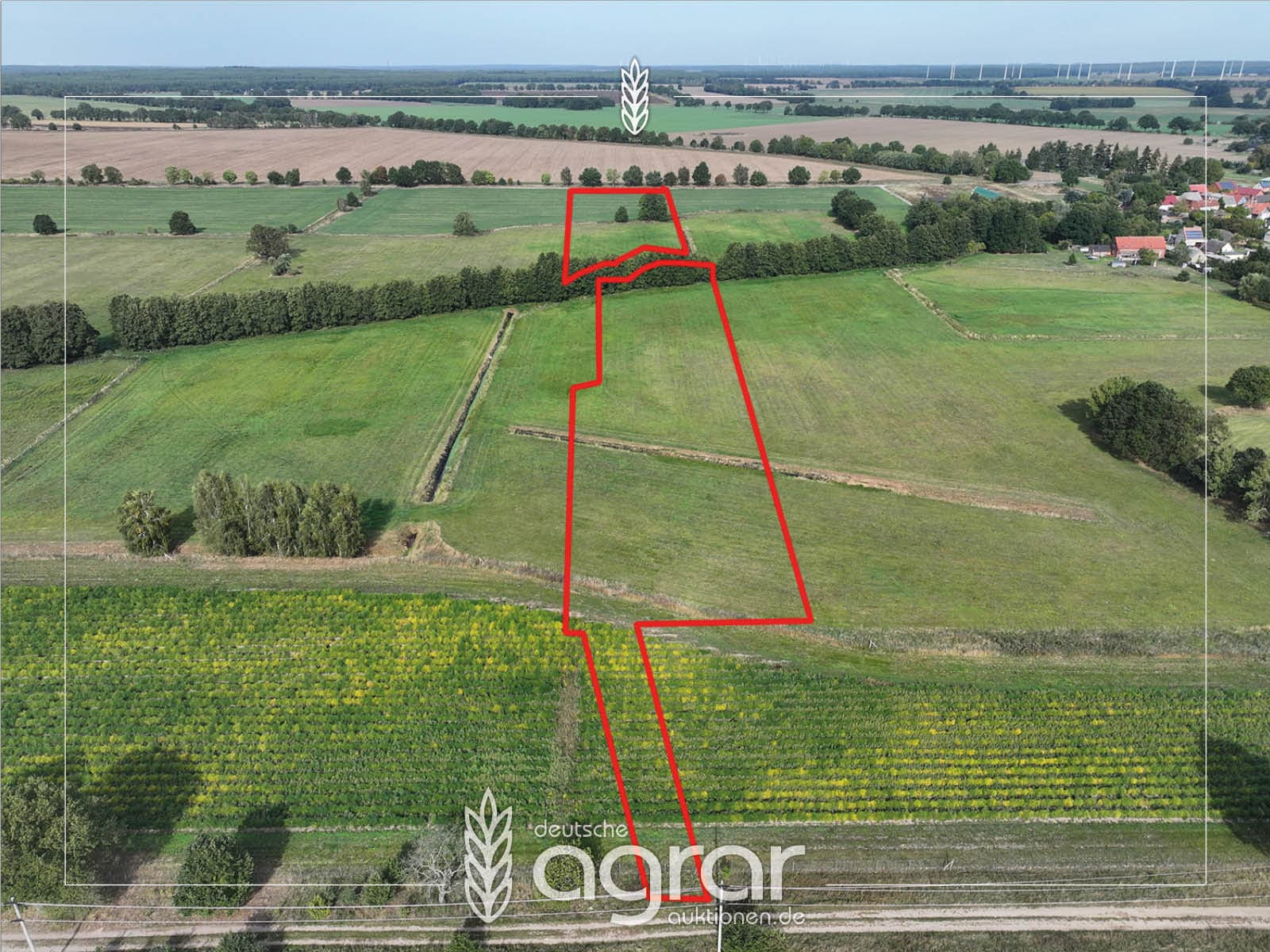 Acker und Grünland in der Prignitz (ca. 3 ha) nordwestlich von Wittstock/Dosse
