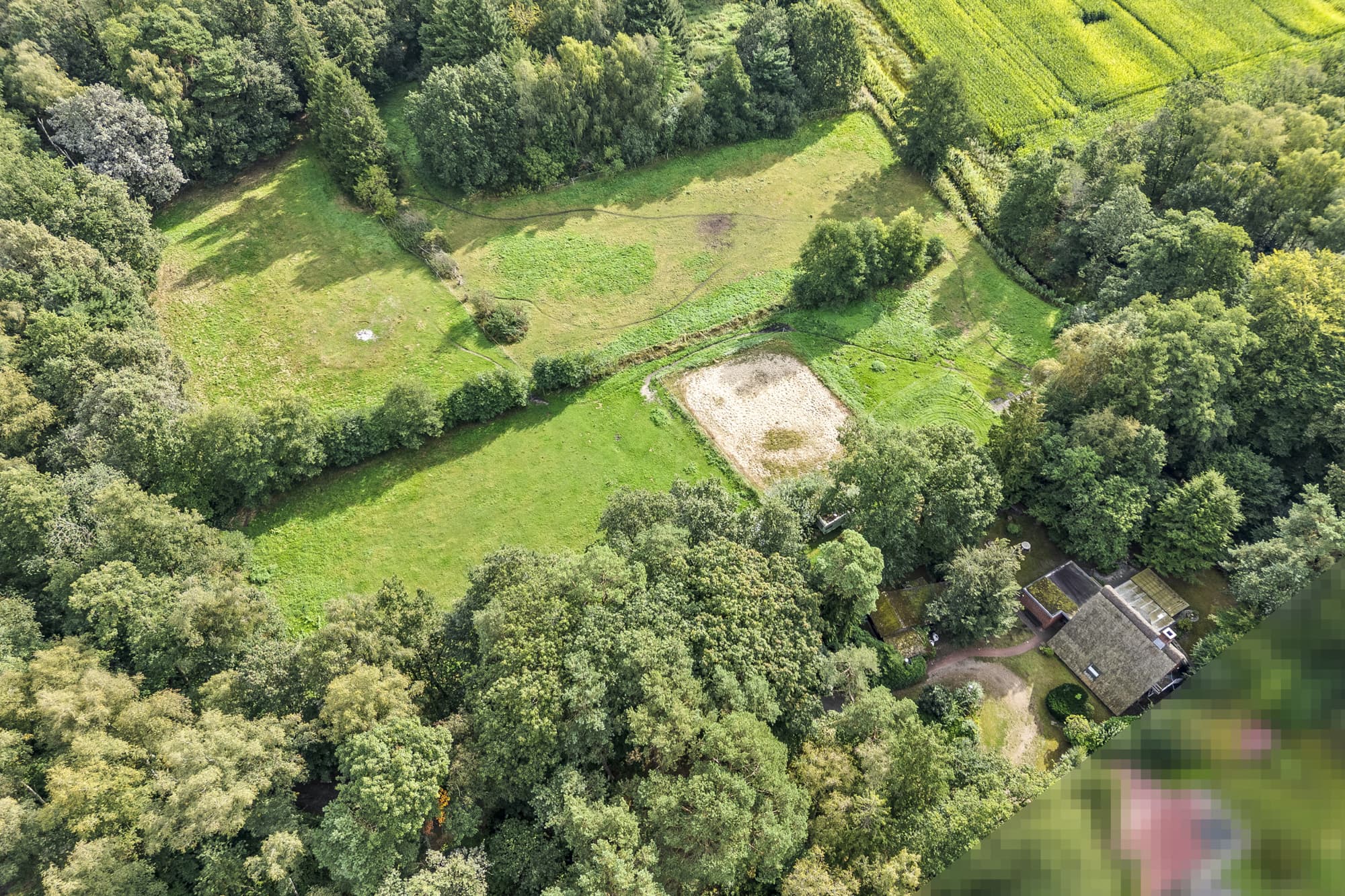 Traum für Pferdeliebhaber: Reetdachhaus mit angrenzenden Wald- und Weideflächen