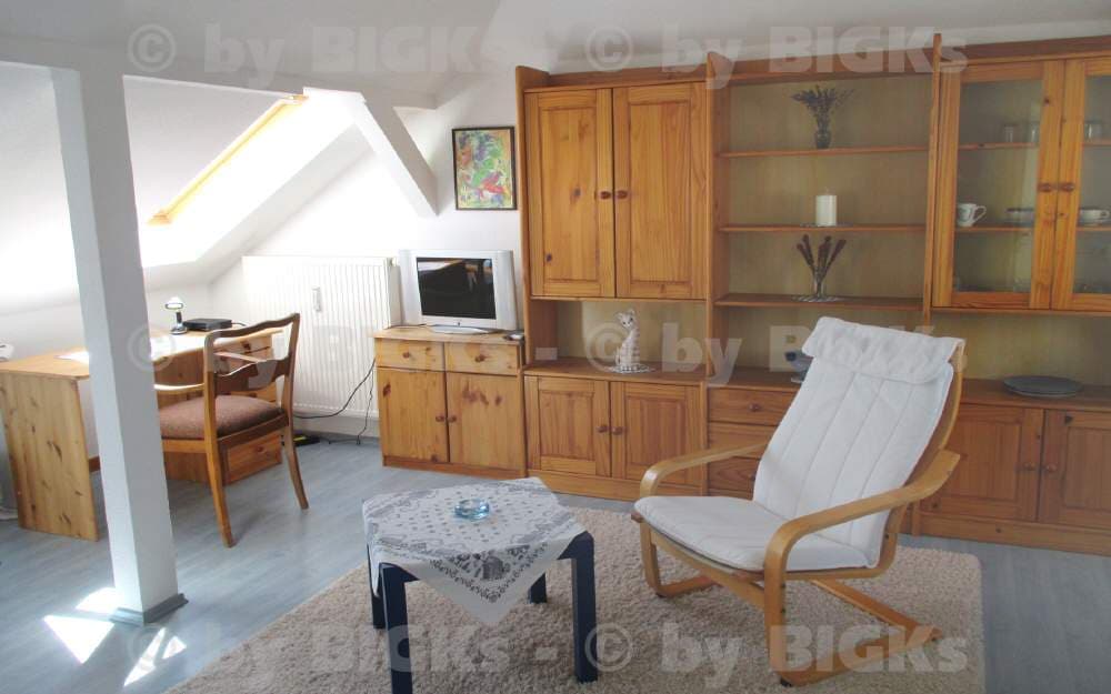BIGKs - Chemnitz - Möblierte 1 Zimmerwohnung,integrierte Küche&Wannenbad,Balkon, (-;)