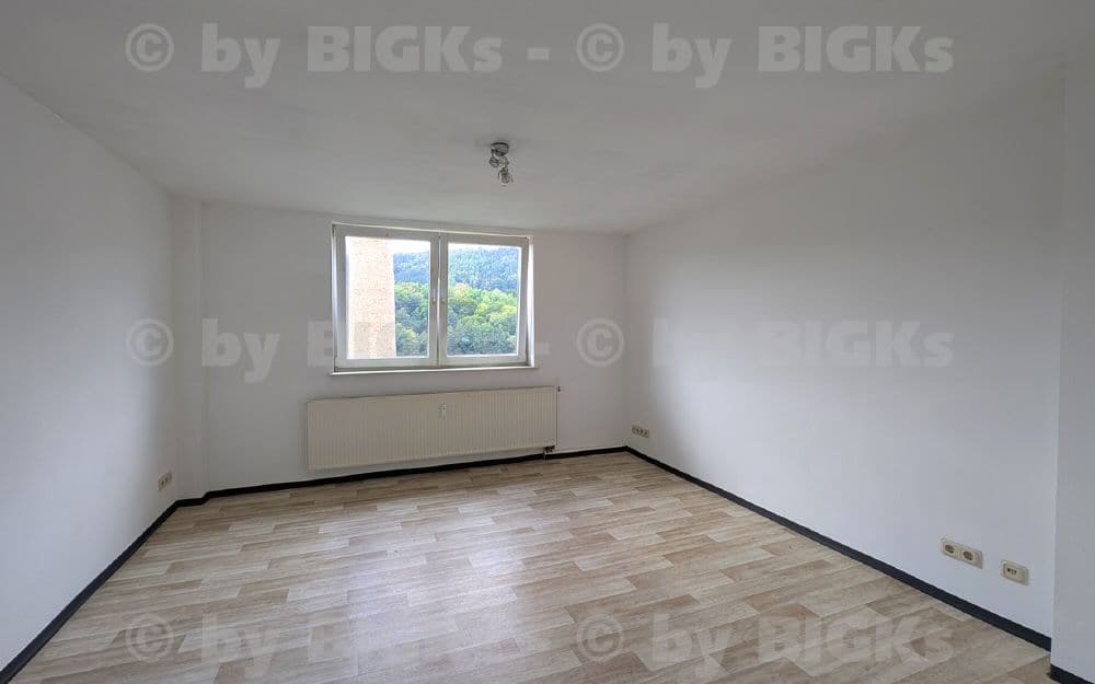 BIGKs - Zella-Mehlis: 4 Zimmer Wohnung,separate Küche, Wannenbad (-;)