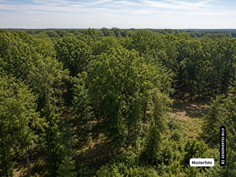 Landgrundstück Emmerthal - Ihre Chance ohne Maklerprovision!